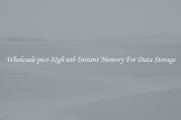 Wholesale pico 32gb usb Instant Memory For Data Storage