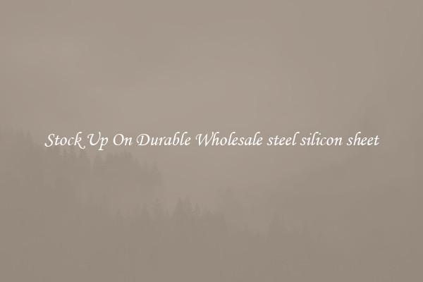 Stock Up On Durable Wholesale steel silicon sheet