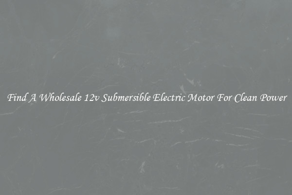 Find A Wholesale 12v Submersible Electric Motor For Clean Power