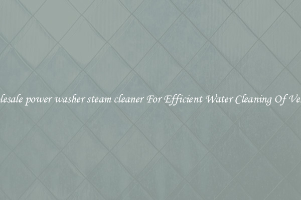 Wholesale power washer steam cleaner For Efficient Water Cleaning Of Vehicles