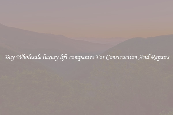 Buy Wholesale luxury lift companies For Construction And Repairs
