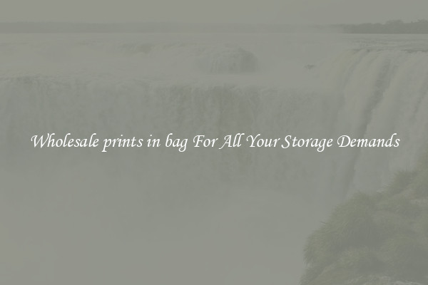 Wholesale prints in bag For All Your Storage Demands