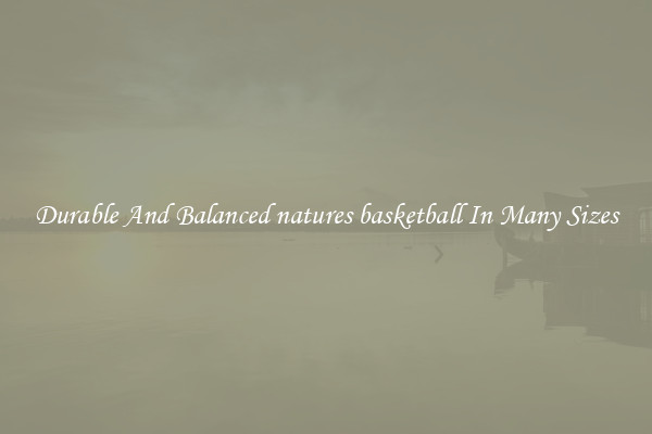 Durable And Balanced natures basketball In Many Sizes