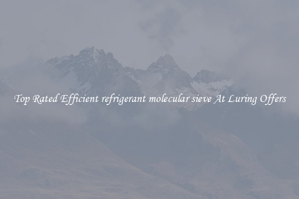 Top Rated Efficient refrigerant molecular sieve At Luring Offers