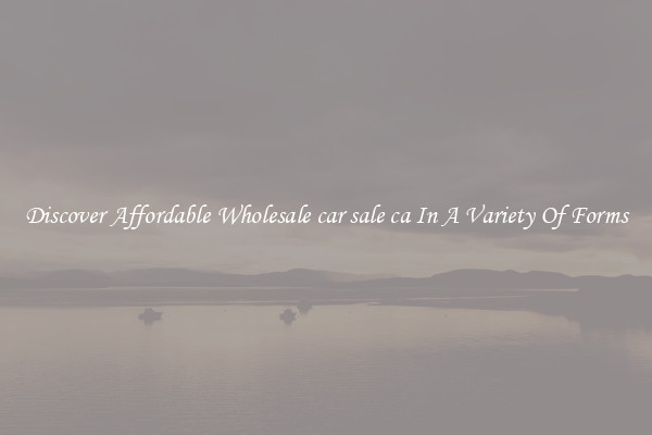 Discover Affordable Wholesale car sale ca In A Variety Of Forms