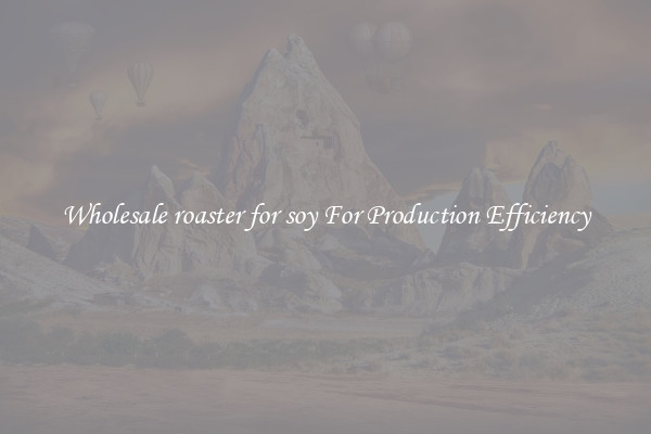 Wholesale roaster for soy For Production Efficiency
