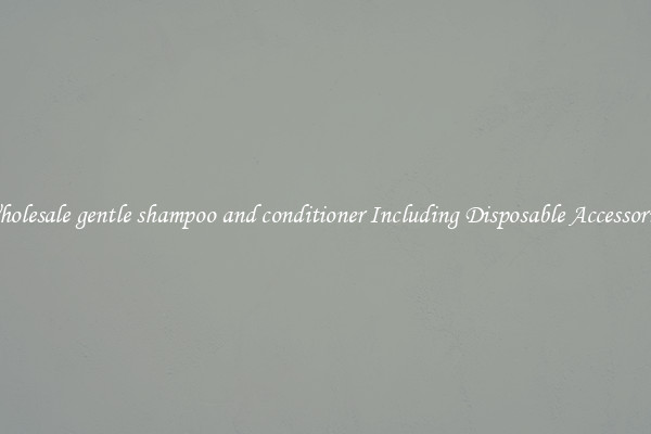 Wholesale gentle shampoo and conditioner Including Disposable Accessories 