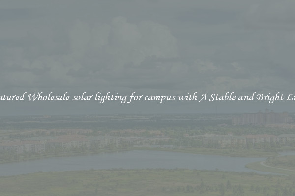 Featured Wholesale solar lighting for campus with A Stable and Bright Light