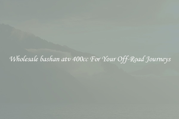 Wholesale bashan atv 400cc For Your Off-Road Journeys