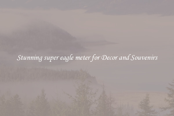 Stunning super eagle meter for Decor and Souvenirs