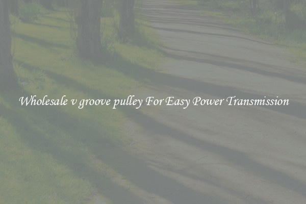 Wholesale v groove pulley For Easy Power Transmission