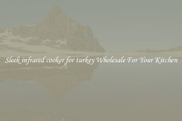 Sleek infrared cooker for turkey Wholesale For Your Kitchen