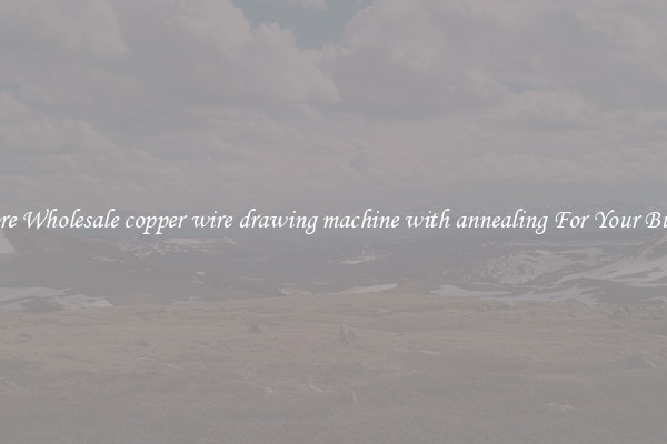  Explore Wholesale copper wire drawing machine with annealing For Your Business 
