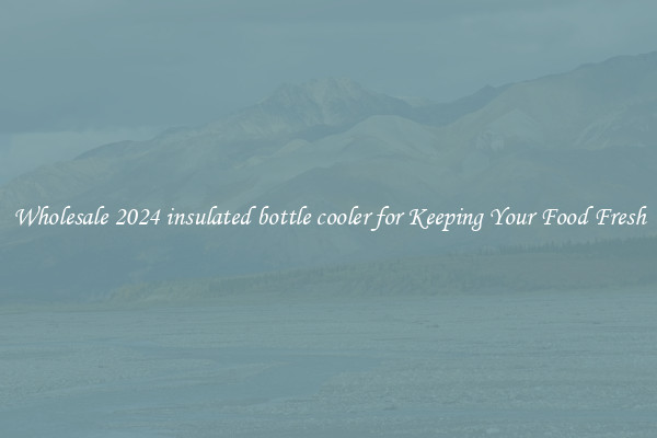 Wholesale 2024 insulated bottle cooler for Keeping Your Food Fresh