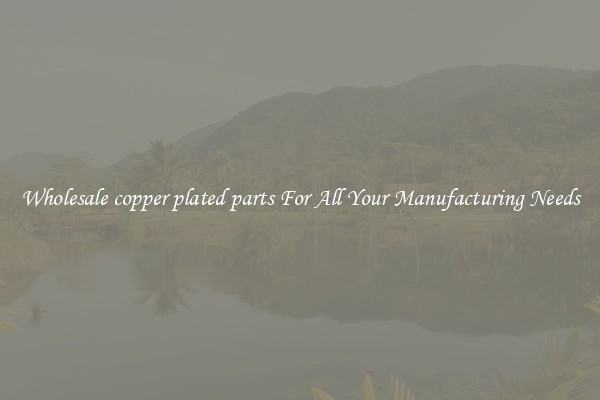 Wholesale copper plated parts For All Your Manufacturing Needs