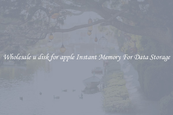 Wholesale u disk for apple Instant Memory For Data Storage