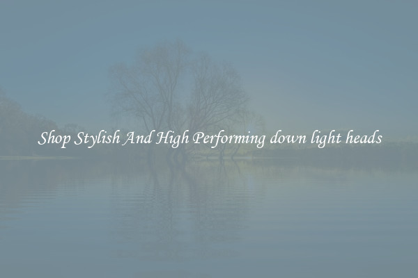 Shop Stylish And High Performing down light heads