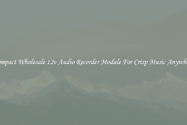 Compact Wholesale 12v Audio Recorder Module For Crisp Music Anywhere
