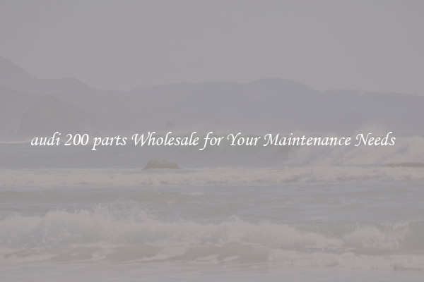 audi 200 parts Wholesale for Your Maintenance Needs