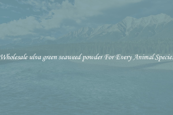 Wholesale ulva green seaweed powder For Every Animal Species